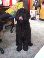 /album/nase-stenatka-vrh-a/arlando-3-jpg/